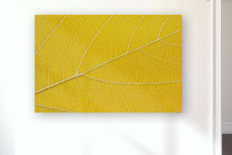 Autumn Leaf by Philippe Monthoux