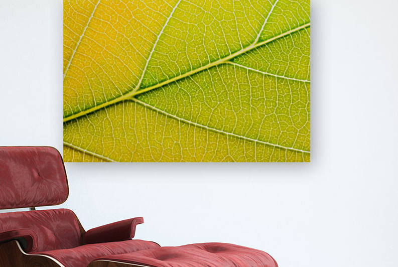 Autumn Leaf by Philippe Monthoux
