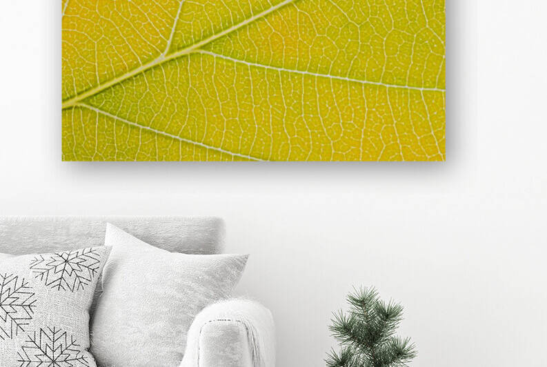 Autumn Leaf by Philippe Monthoux