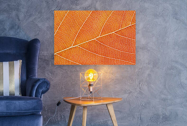 Autumn Leaf by Philippe Monthoux