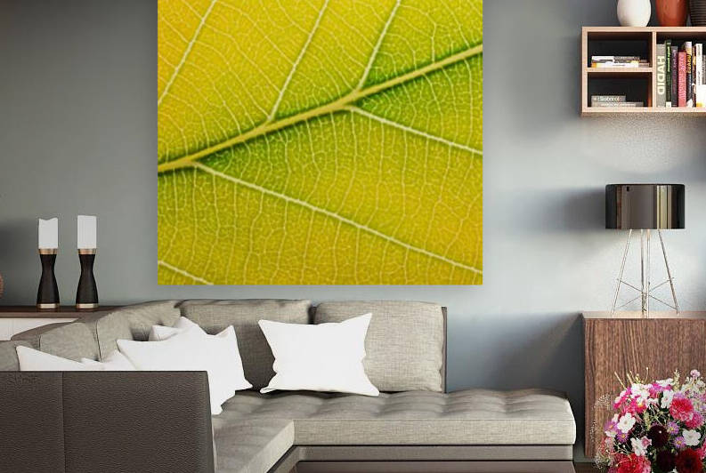 Autumn Leaf by Philippe Monthoux