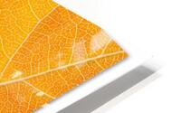 Autumn Leaves HD Metal print