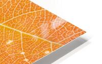 Autumn Leaf HD Metal print