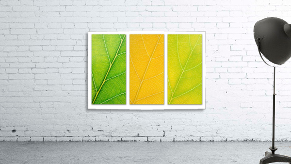 Autumn Leaves Wall Preview