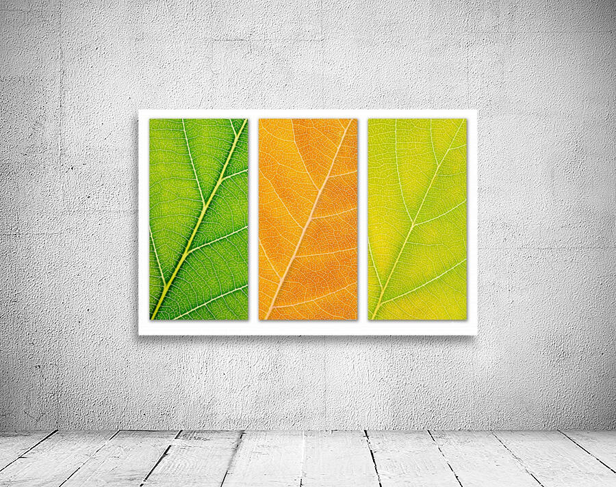 Autumn Leaves Wall Preview