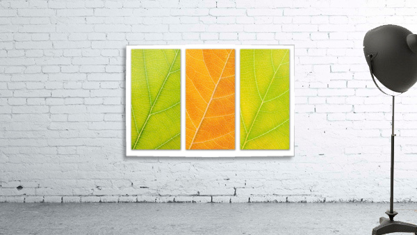 Autumn Leaves Wall Preview