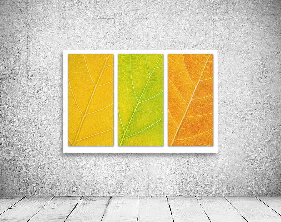 Autumn Leaves Wall Preview