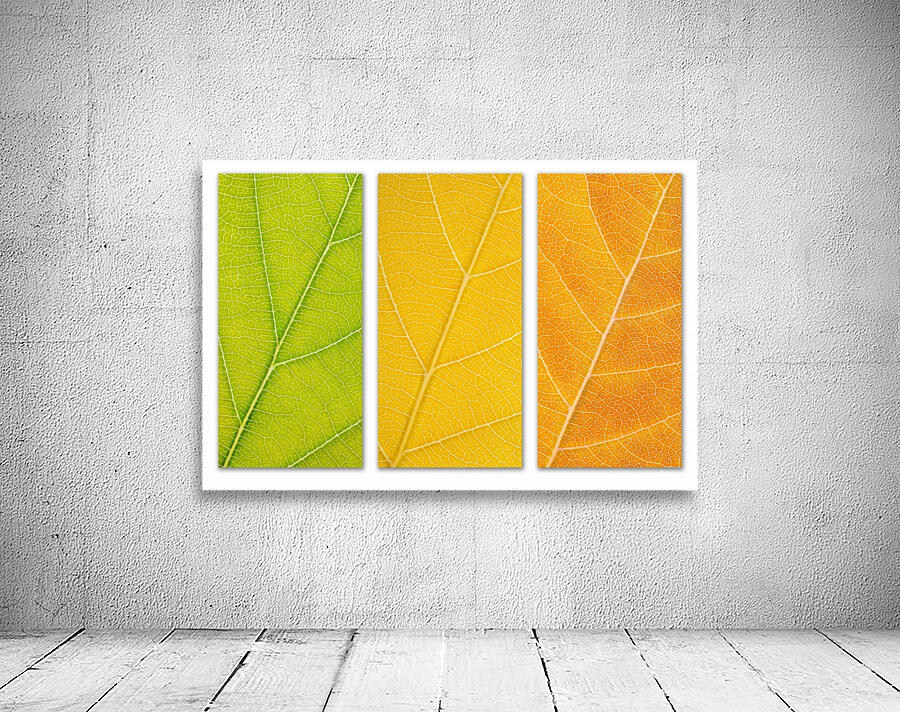 Autumn Leaves Wall Preview