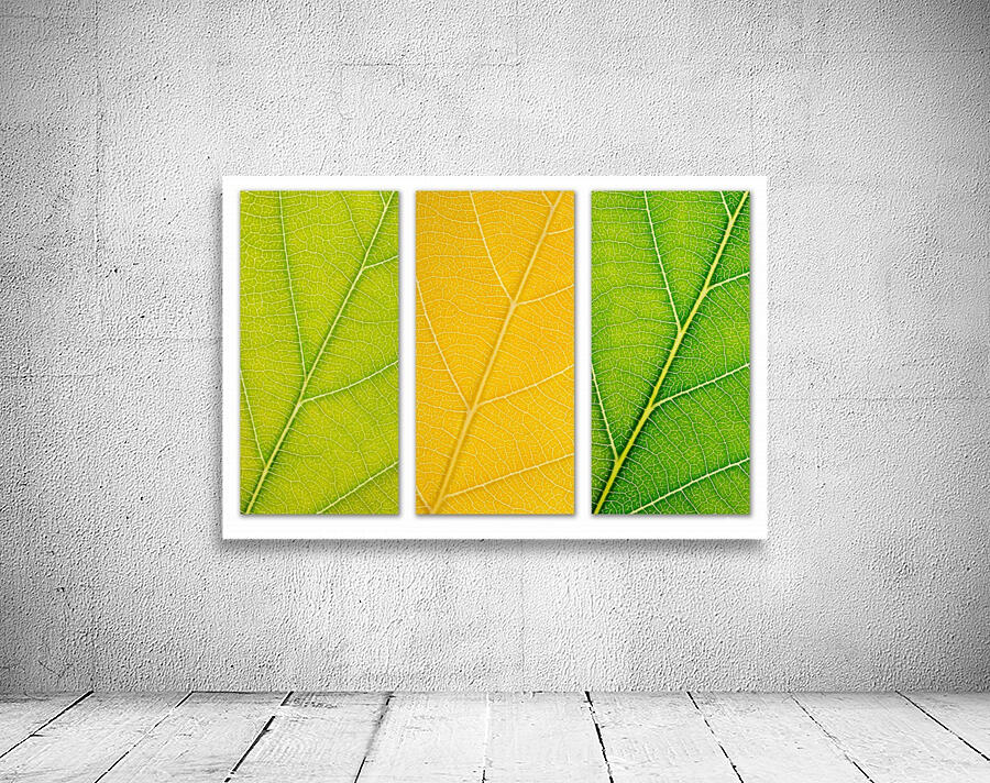 Autumn Leaves Wall Preview