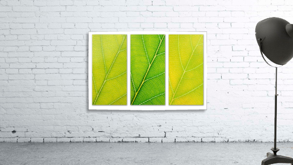 Autumn Leaves Wall Preview