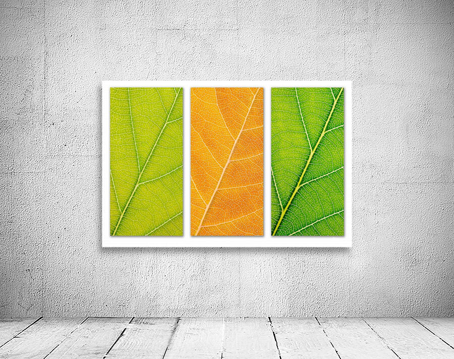 Autumn Leaves Wall Preview