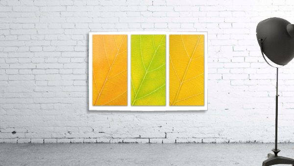 Autumn Leaves Wall Preview