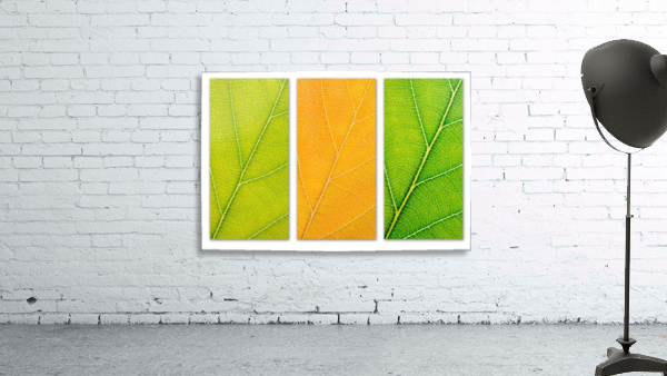 Autumn Leaves Wall Preview