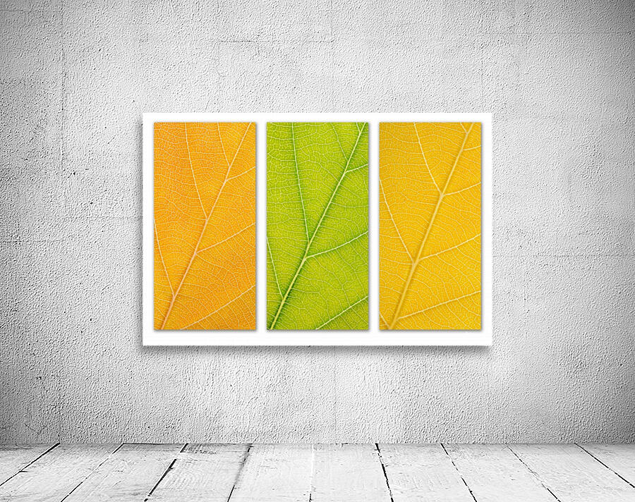 Autumn Leaves Wall Preview