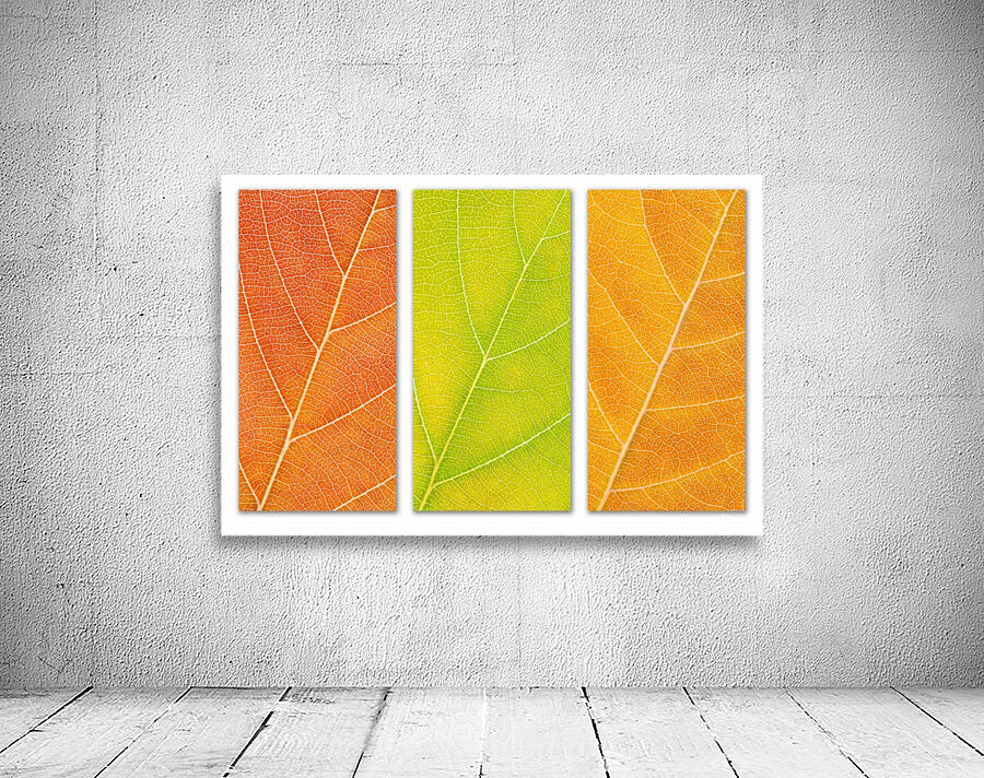 Autumn Leaves Wall Preview
