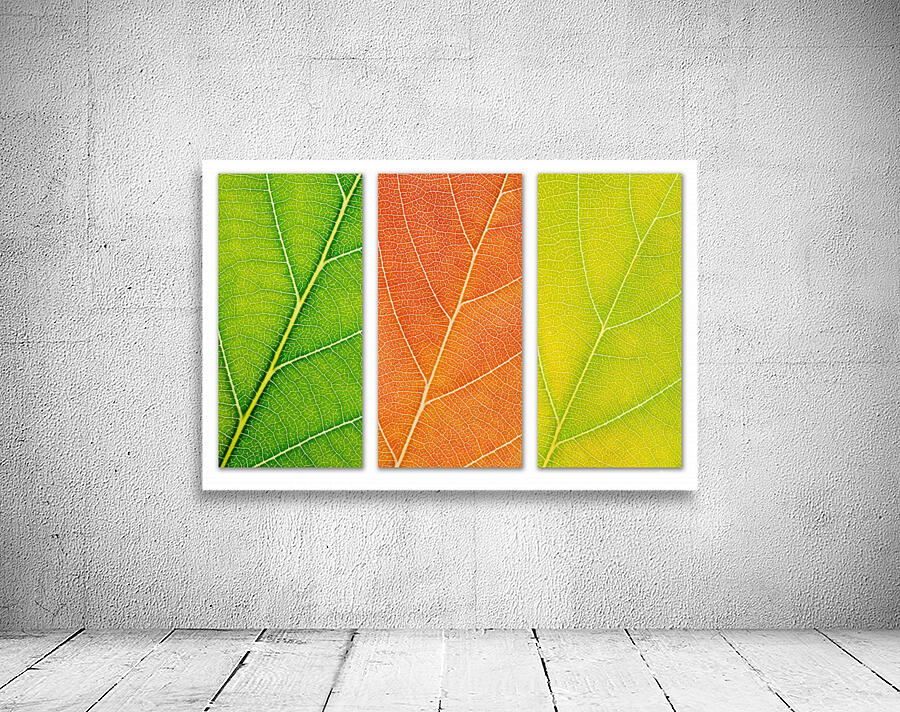Autumn Leaves Wall Preview