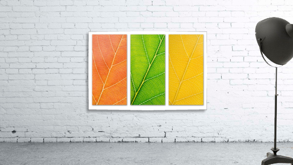 Autumn Leaves Wall Preview