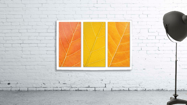 Autumn Leaves Wall Preview