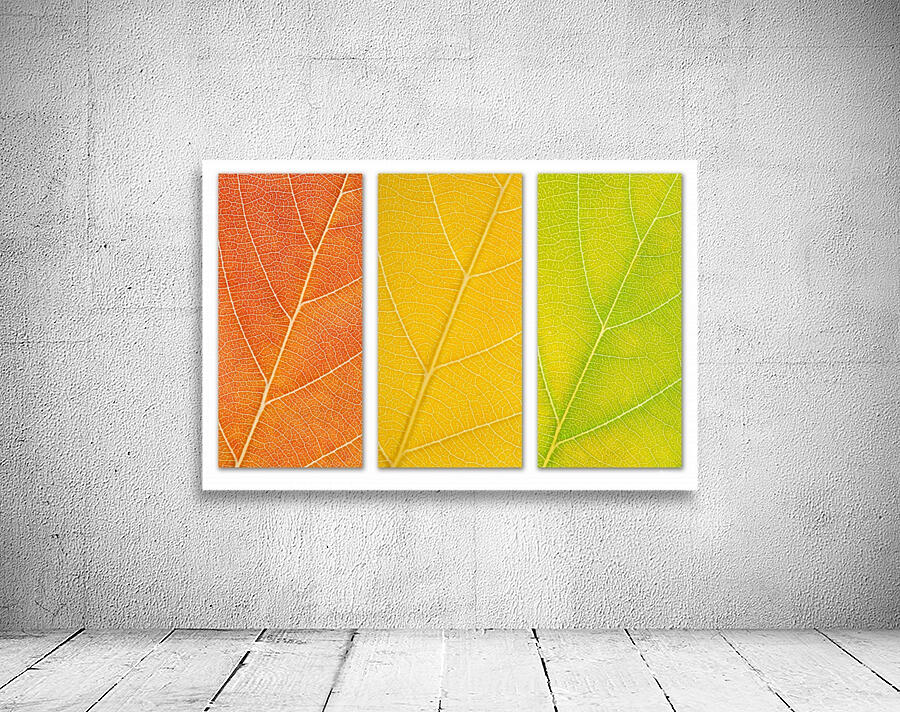 Autumn Leaves Wall Preview