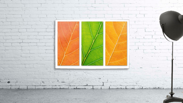 Autumn Leaves Wall Preview