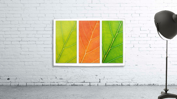 Autumn Leaves Wall Preview