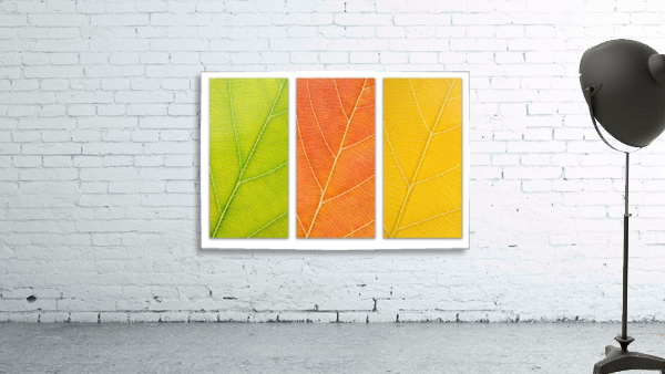 Autumn Leaves Wall Preview