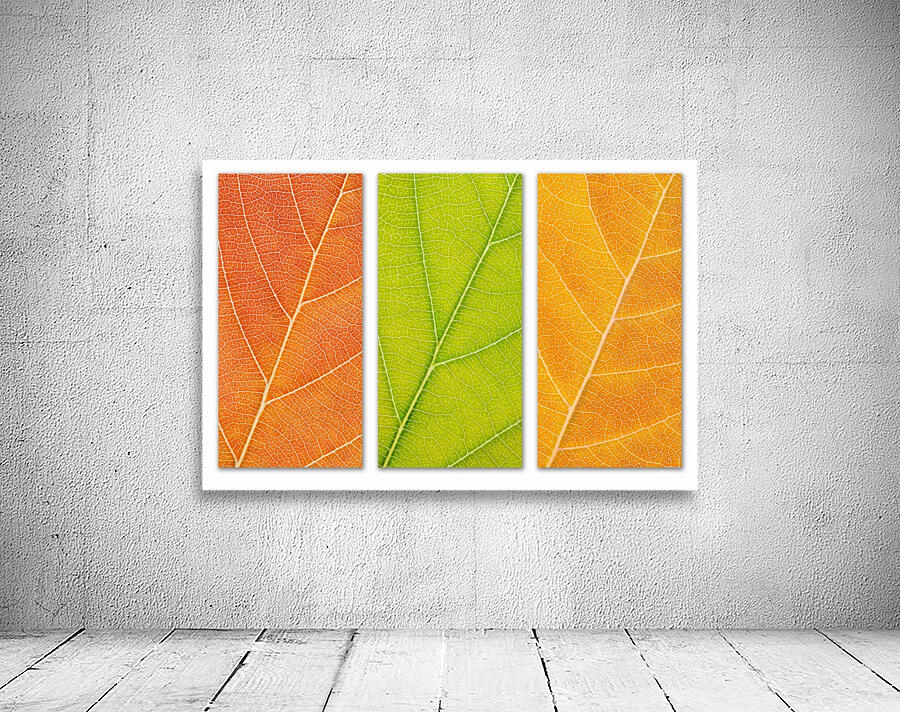 Autumn Leaves Wall Preview