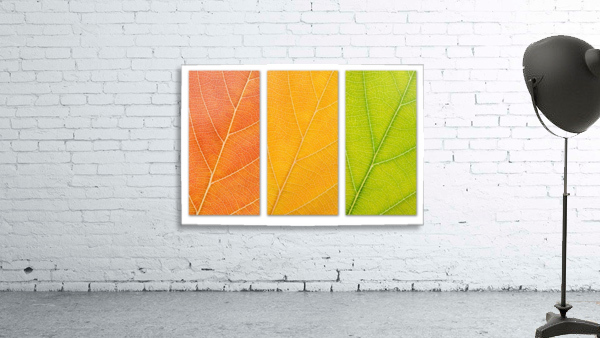 Autumn Leaves Wall Preview