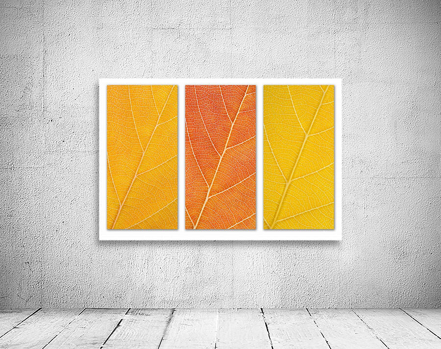 Autumn Leaves Wall Preview