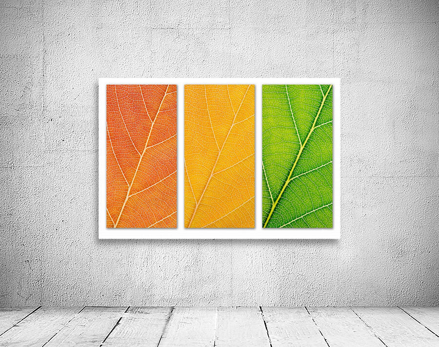 Autumn Leaves Wall Preview