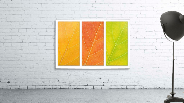 Autumn Leaves Wall Preview
