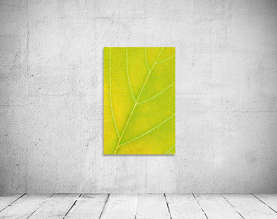 Autumn Leaf Wall Preview
