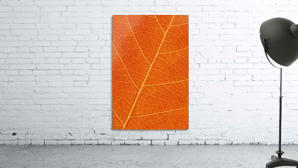 Autumn Leaf Wall Preview