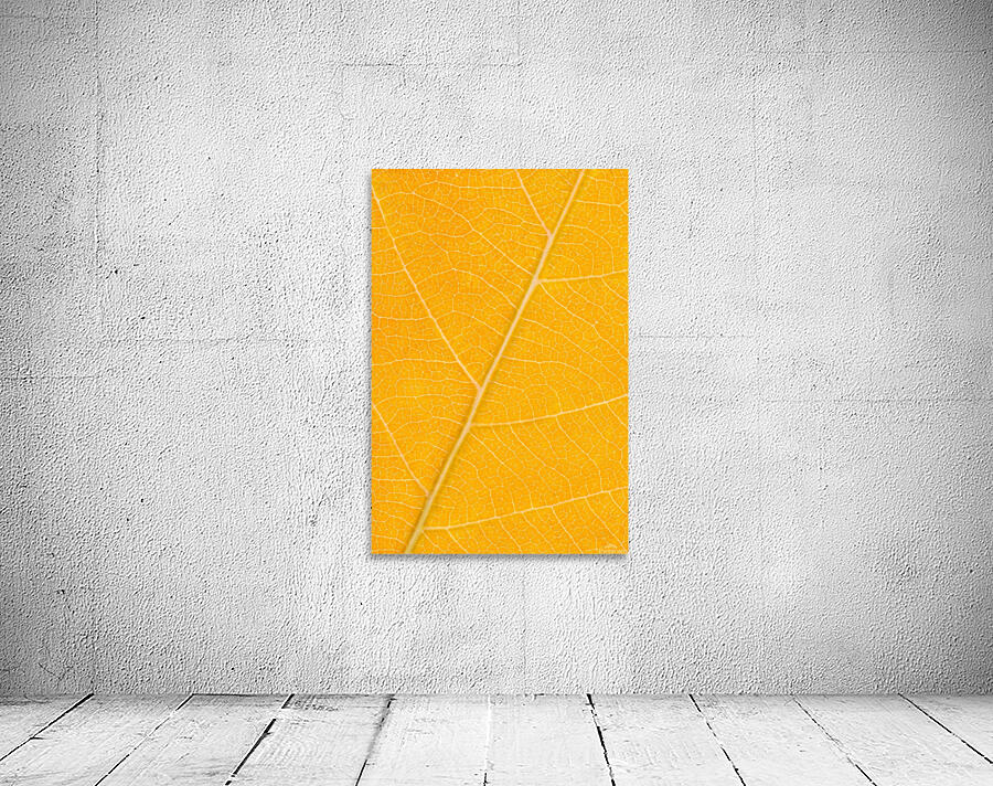 Autumn Leaf Wall Preview