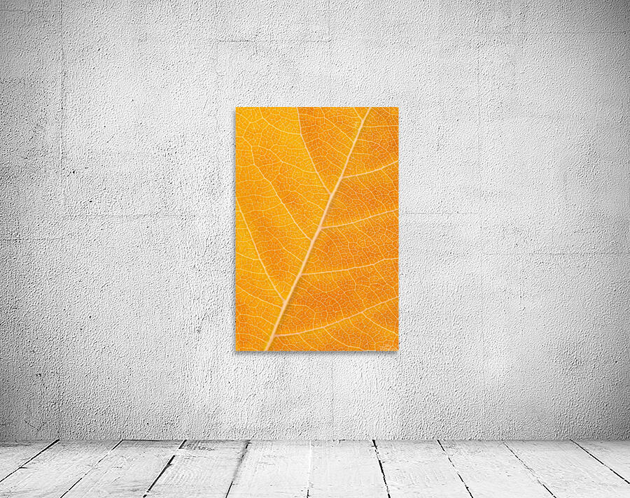 Autumn Leaf Wall Preview