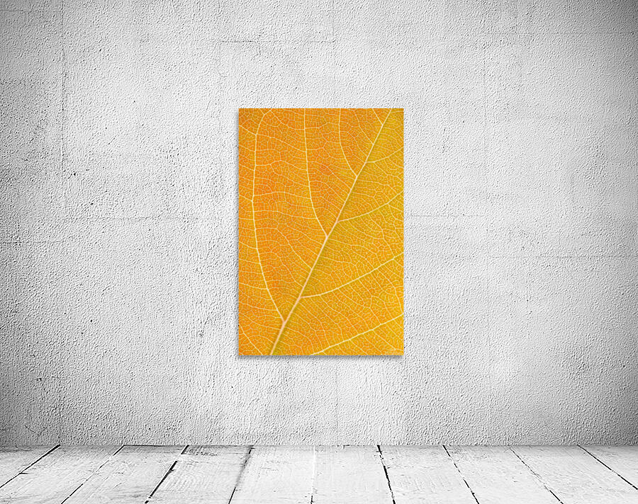 Autumn Leaf Wall Preview