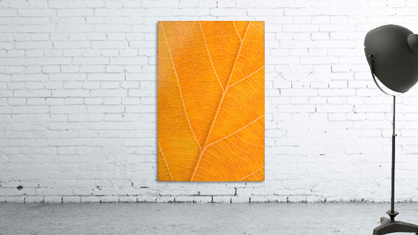 Autumn Leaf Wall Preview