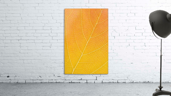 Autumn Leaf Wall Preview