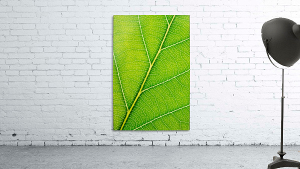 Autumn Leaf Wall Preview
