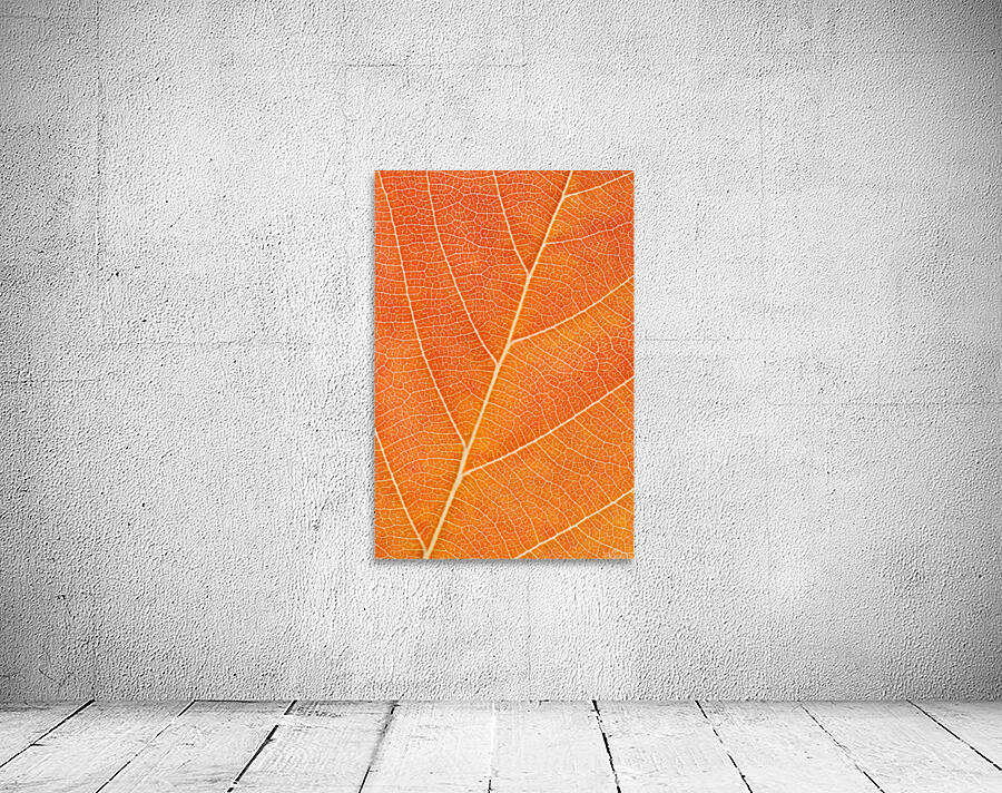 Autumn Leaf Wall Preview