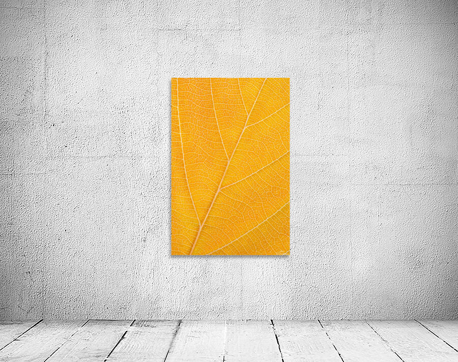 Autumn Leaf Wall Preview