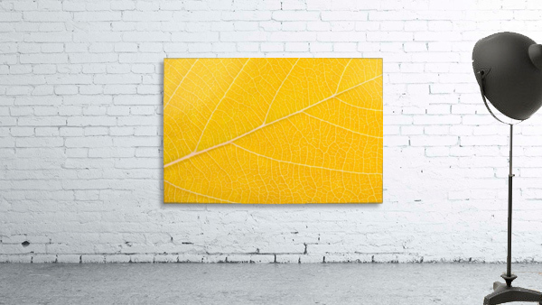 Autumn Leaf Wall Preview
