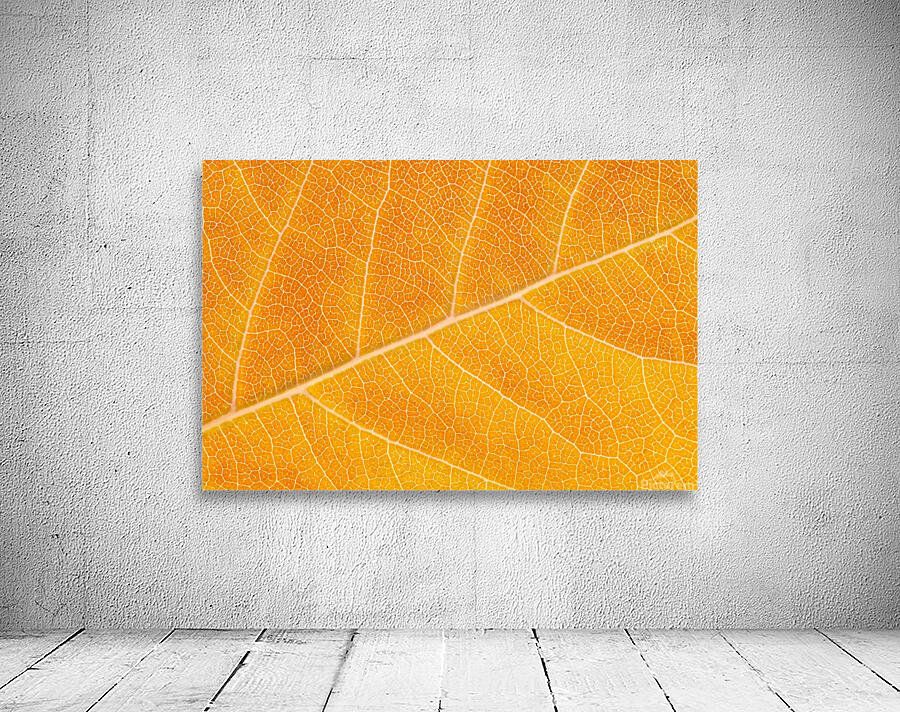 Autumn Leaf Wall Preview