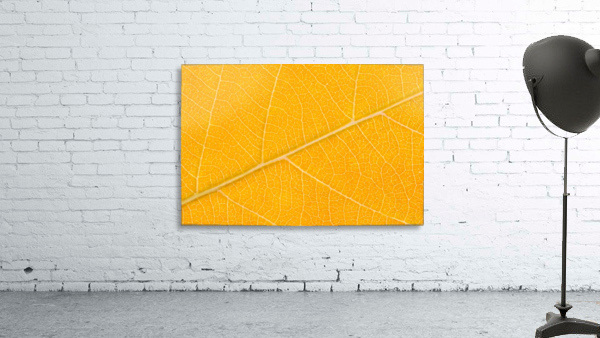 Autumn Leaf Wall Preview