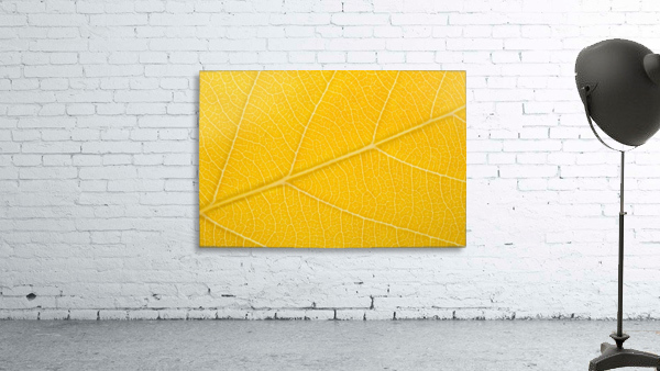 Autumn Leaf Wall Preview
