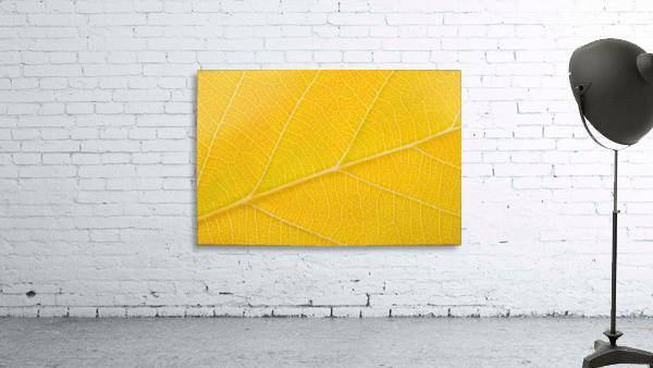 Autumn Leaf Wall Preview