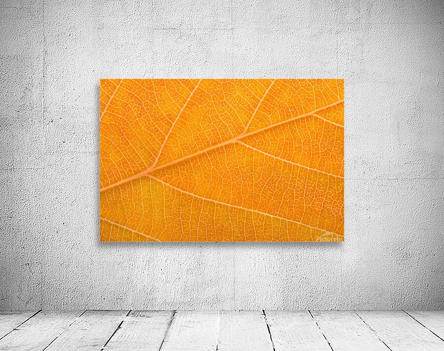 Autumn Leaf Wall Preview