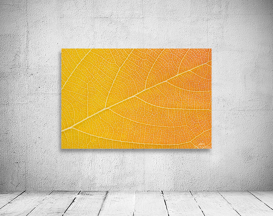 Autumn Leaf Wall Preview