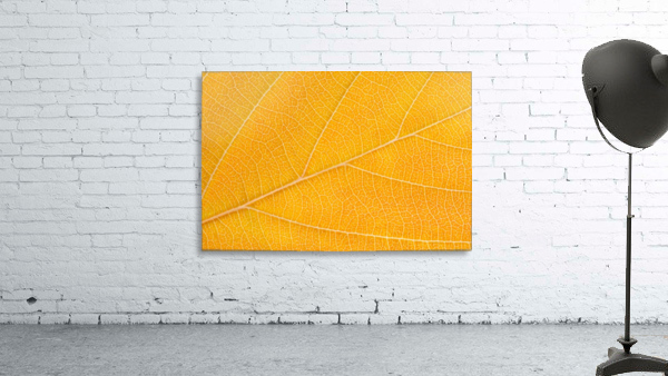 Autumn Leaf Wall Preview