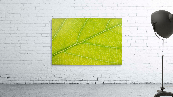 Autumn Leaf Wall Preview